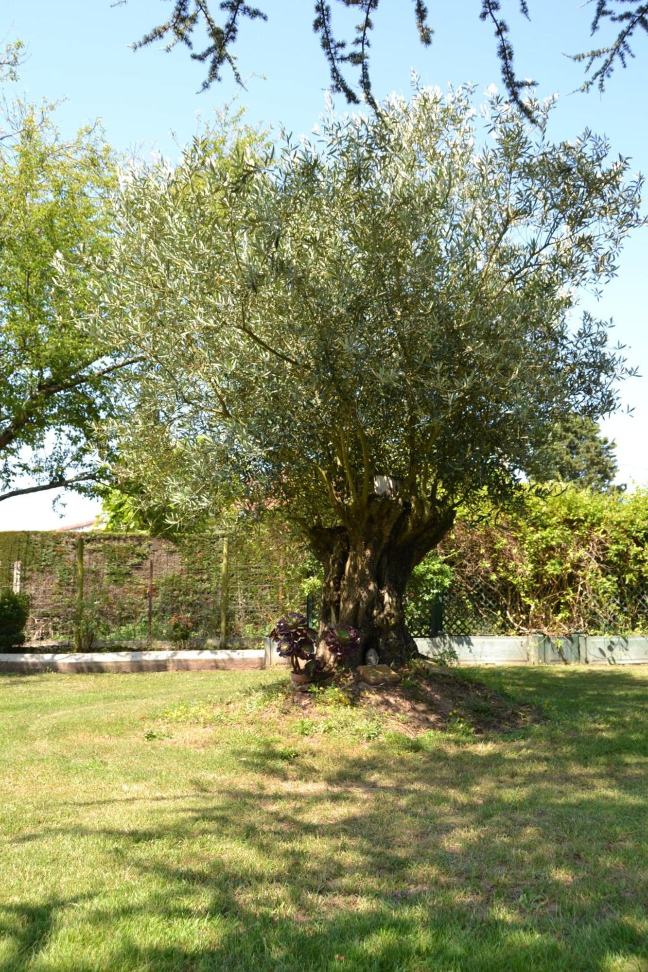 Le Gite De La Lombriere Saint-Denis-de-Pile Bagian luar foto